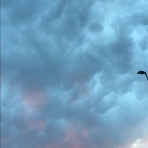 Meet your Posher, Reese